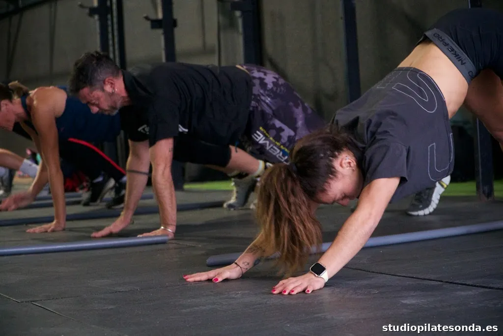 G1931 · Conil Training Box