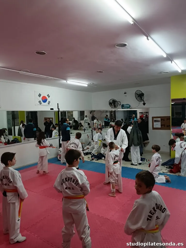 ESVAT - Escuela Vallduxense de Taekwondo