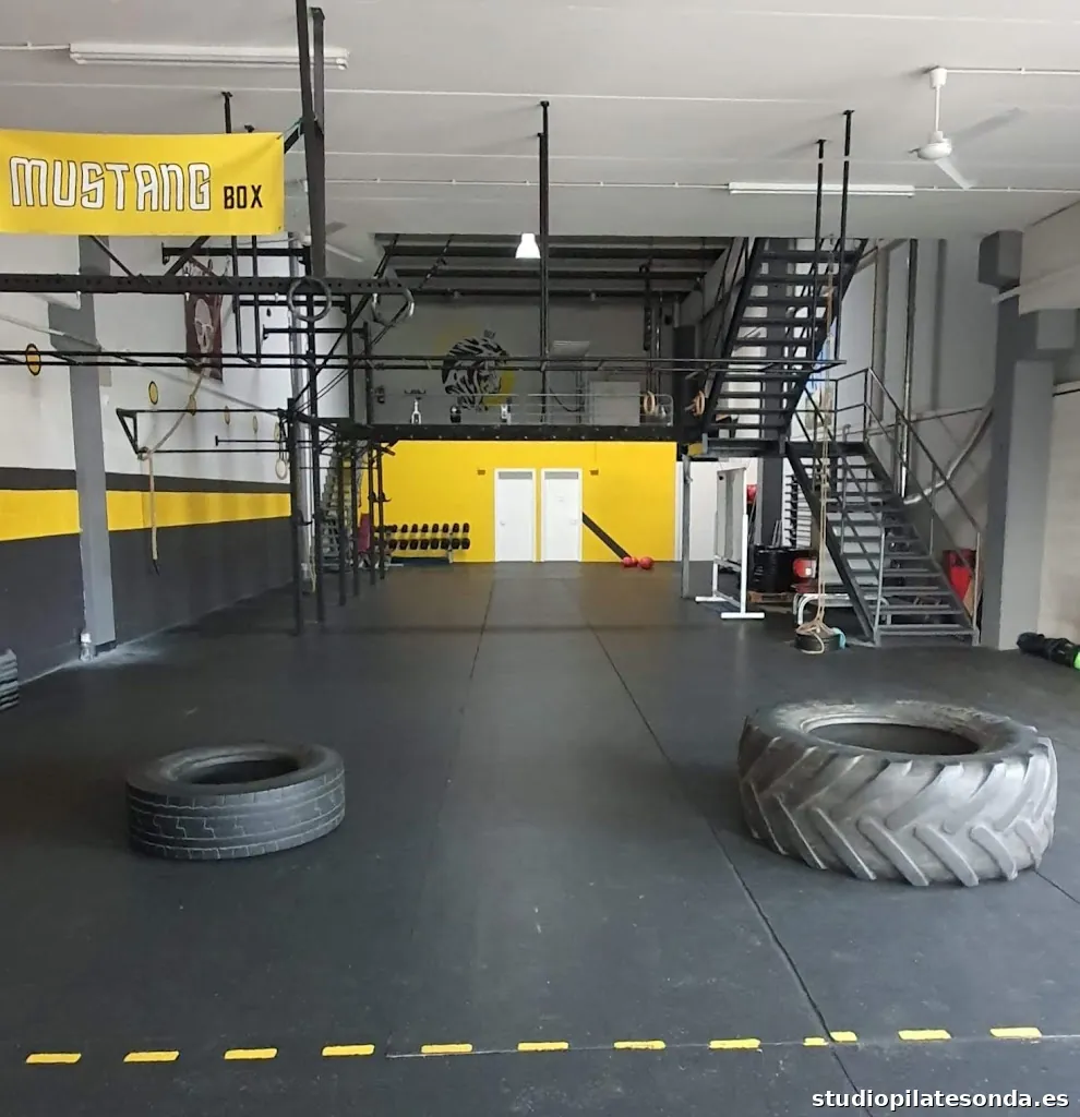 Mustang box centre esportiu