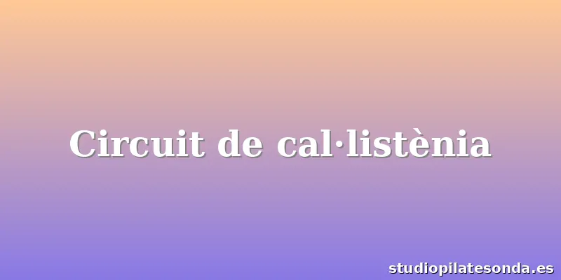 Circuit de cal·listènia