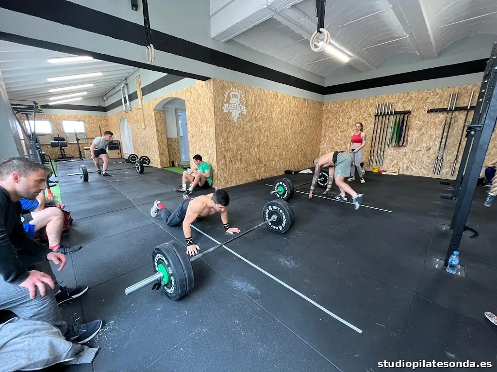 Box Training - LES CAVES