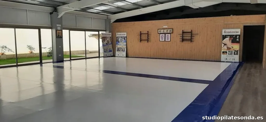 RENSHINKAN CLUB JUDO AIKIDO KENDO