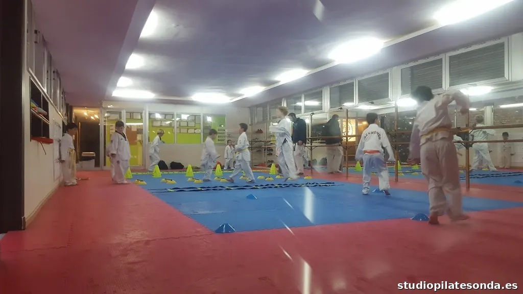 CLUB DE TAEKWONDO JEONSA JEREZ