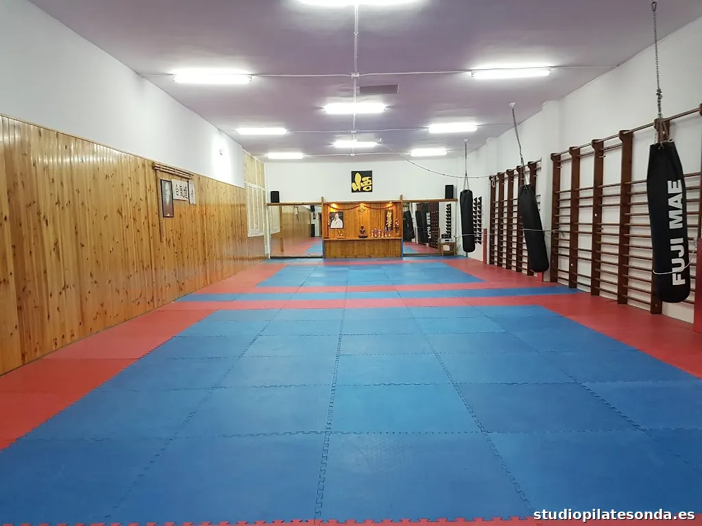 Club Esportiu Satori