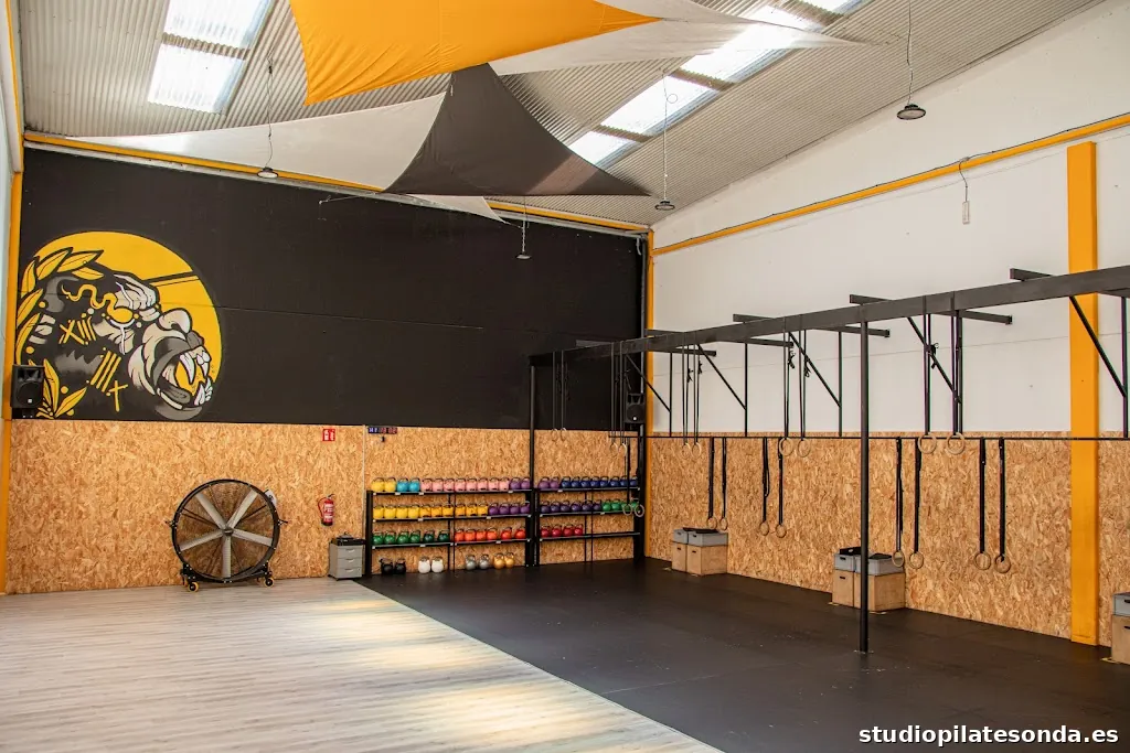 Iraun Olarizu | Centro de Entrenamiento y Nutrición