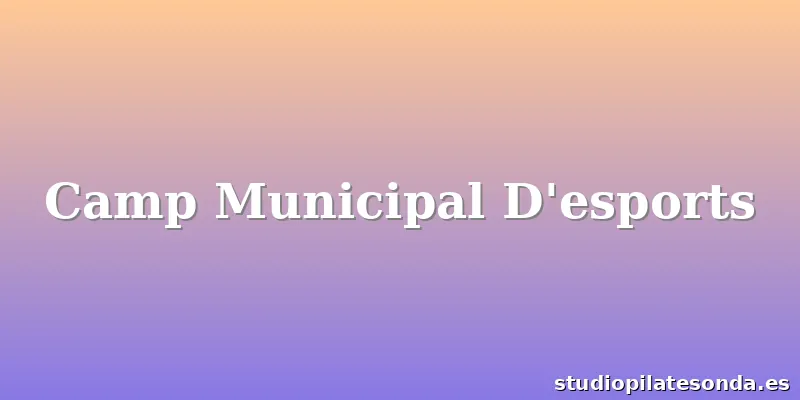 Camp Municipal D'esports
