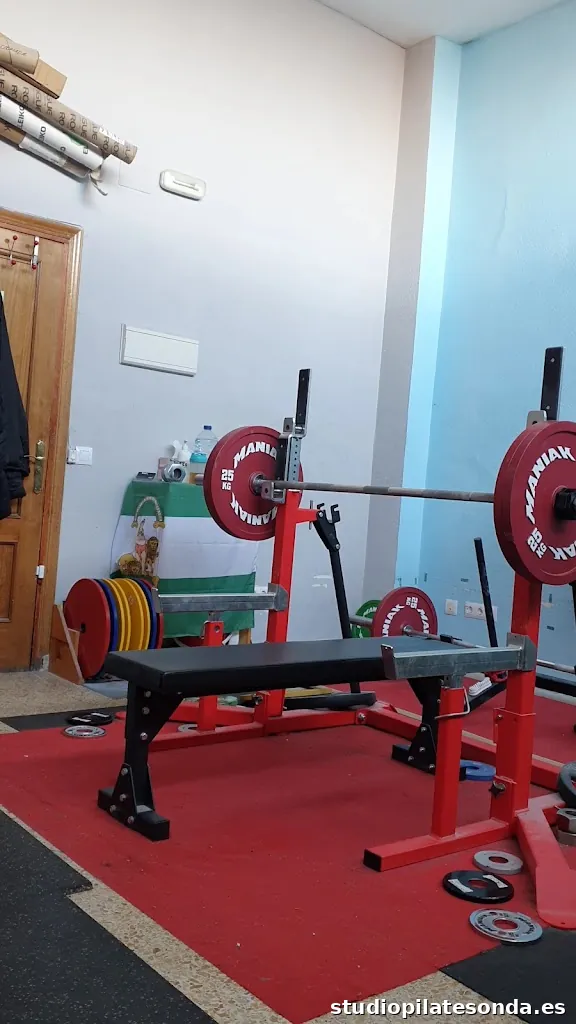 RS Lifting - Hammer Gym