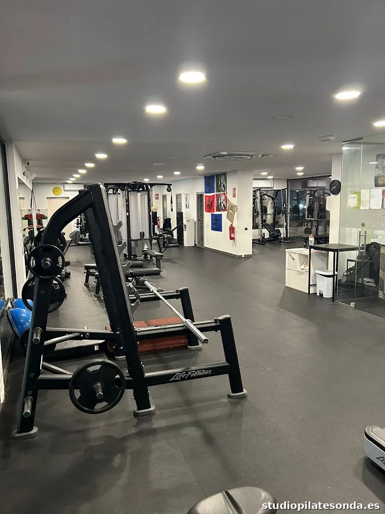 Wild Movement Training (WMT)