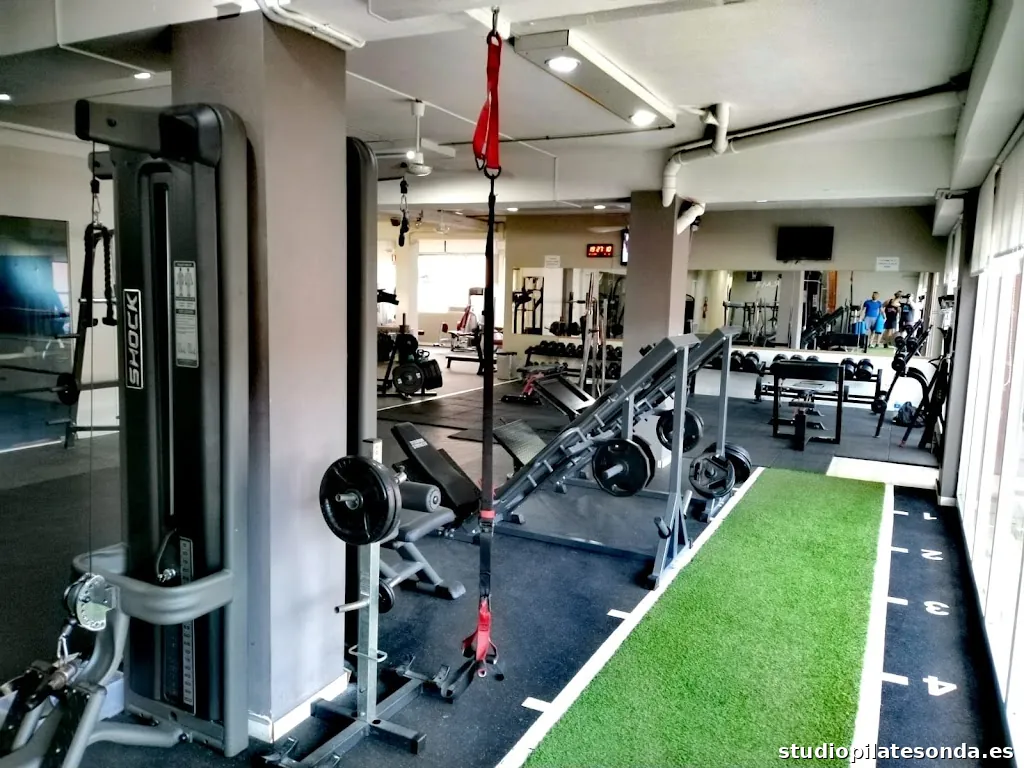 Vida en Forma FITNESS