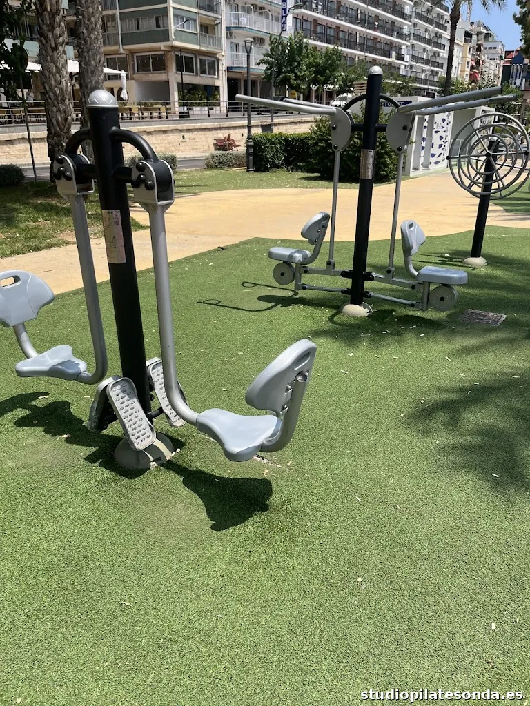 Área biosaludable del Parque de Elche