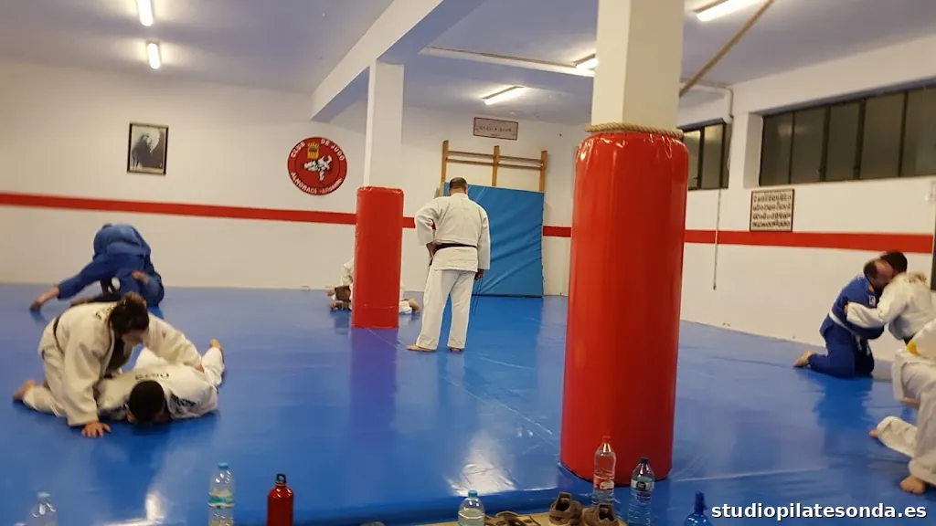 CLUB JUDO ALMORADÍ