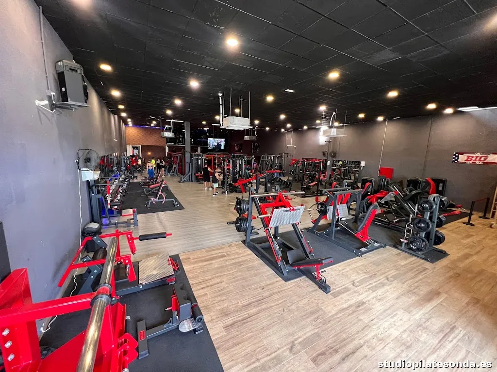 GYM PRO FITNESS VINAROS