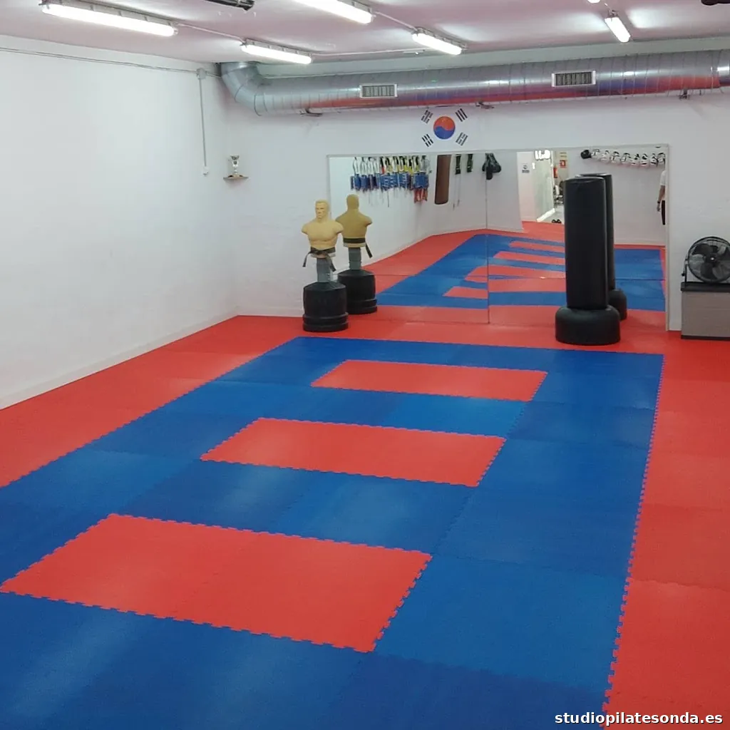 GIMNASIO TKD SANSA