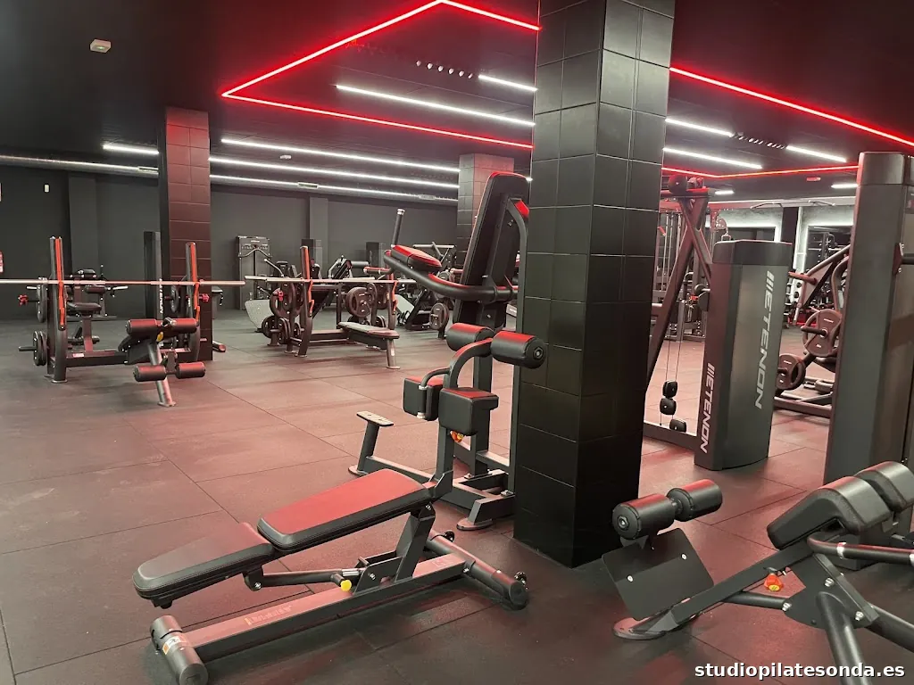 Inside Muscle Fitness