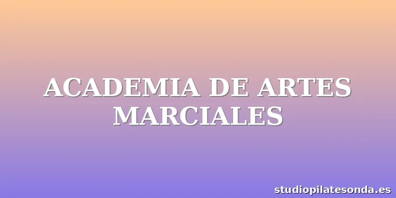 ACADEMIA DE ARTES MARCIALES