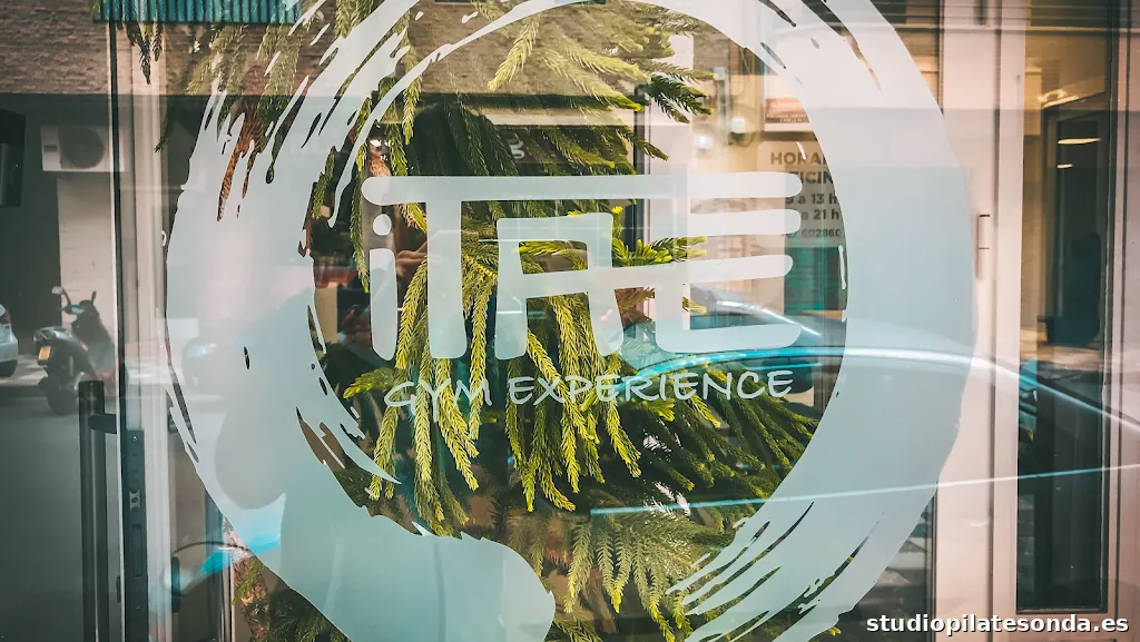 Itae Gym Experience (Pilates, Taekwondo, Entrenamiento funcional y Taichi)