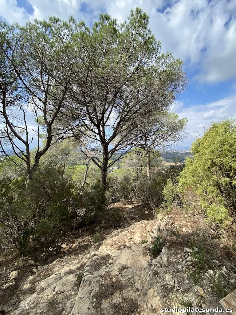 RUTA CRAWLER (Sector Can Gürri)