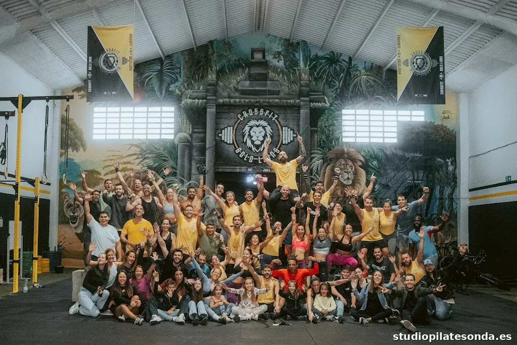 Crossfit Gold Lions Ripollet