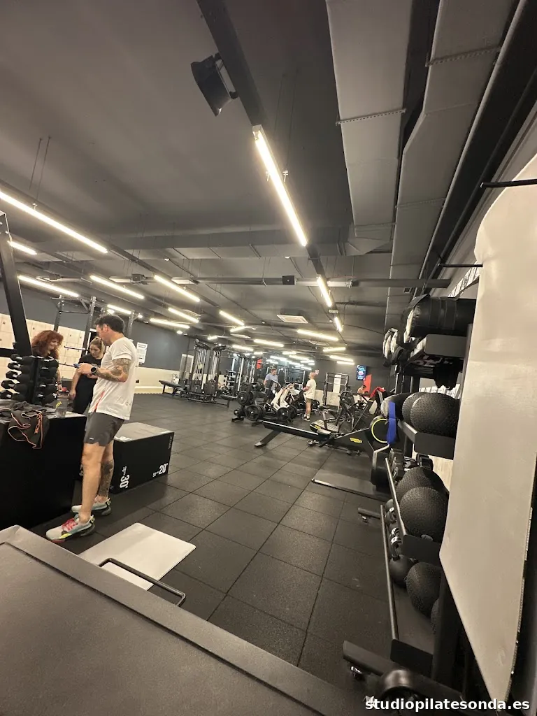 Synergym Miranda de Ebro