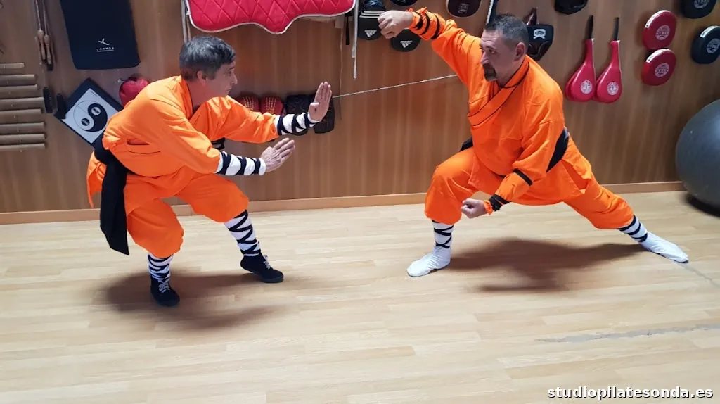 REAL CLUB ESTUDIO SHAO-LIN