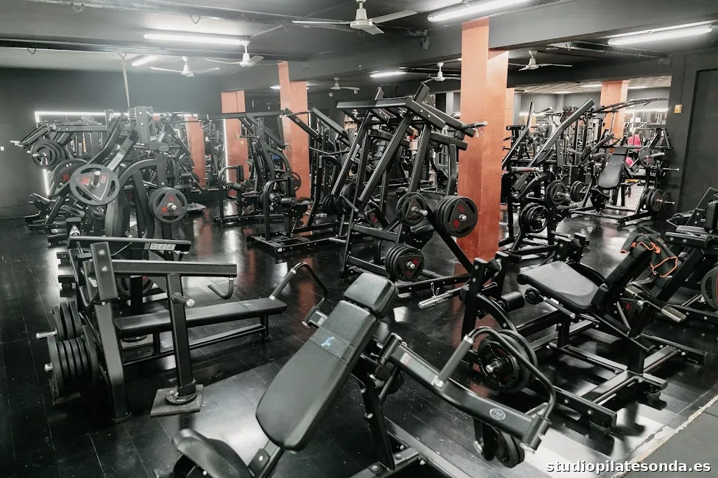 System Sport Contact