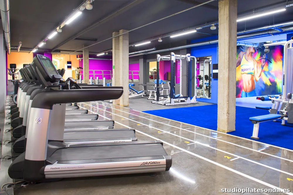 Gimnasio Sportia Cordón 5