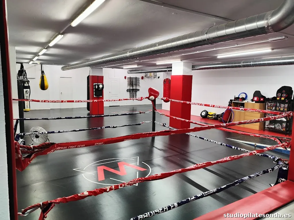 The Warriors Martial Arts Club