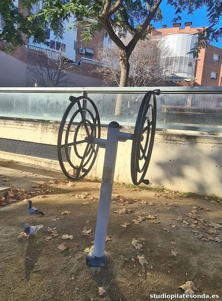 Gimnasio al aire libre