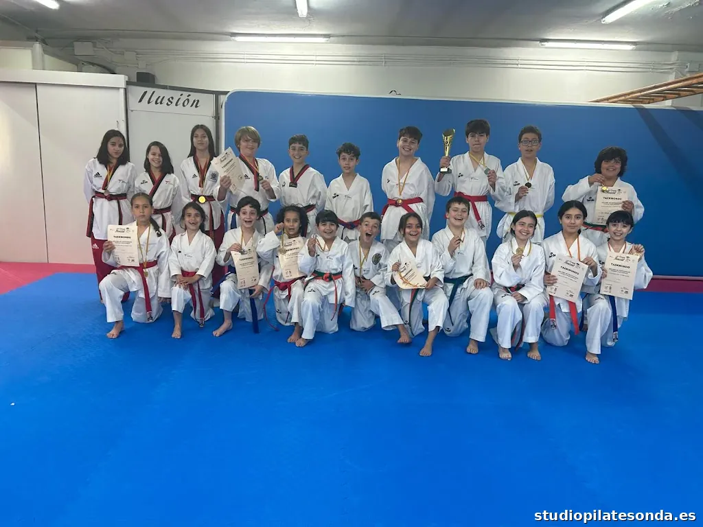 Taekwondo Lee Young Cerdanyola