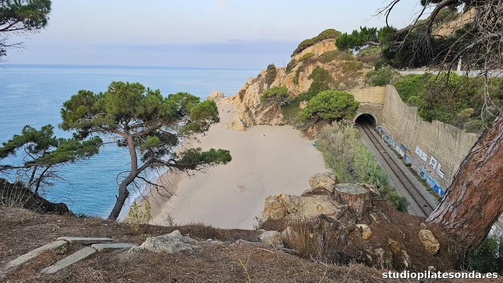 Gimnàs a l'aire lliure