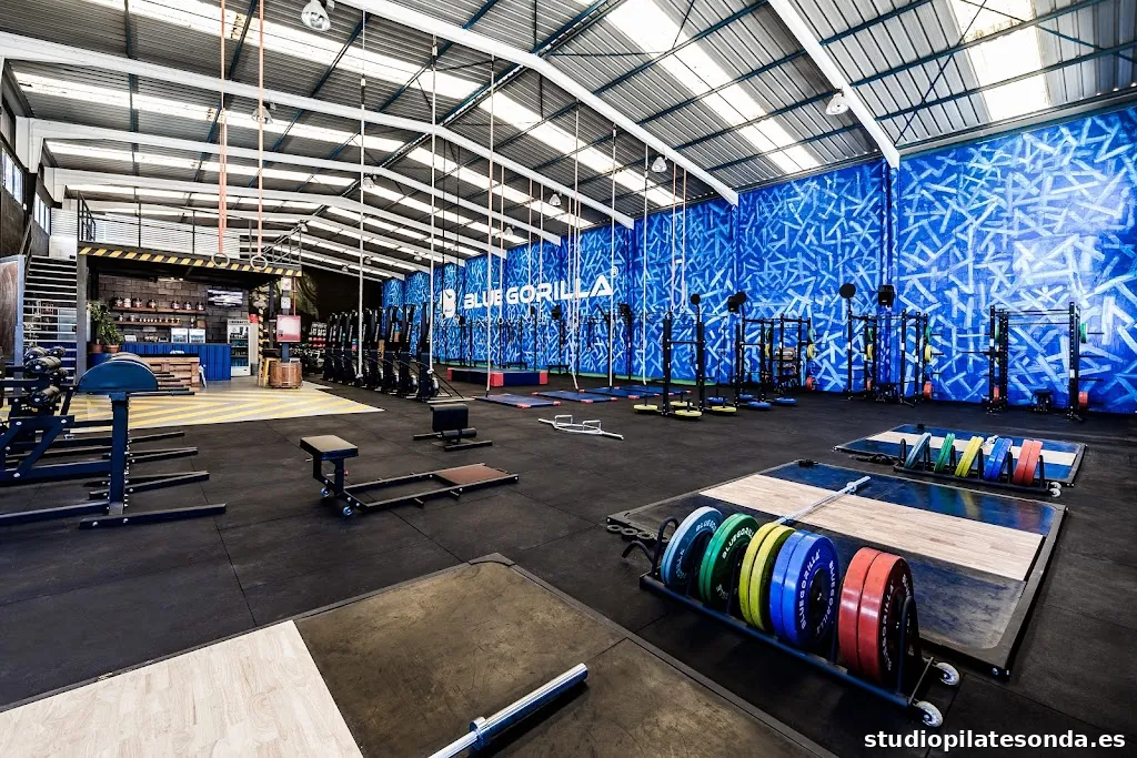 BLUEGORILLA BOX San Fernando