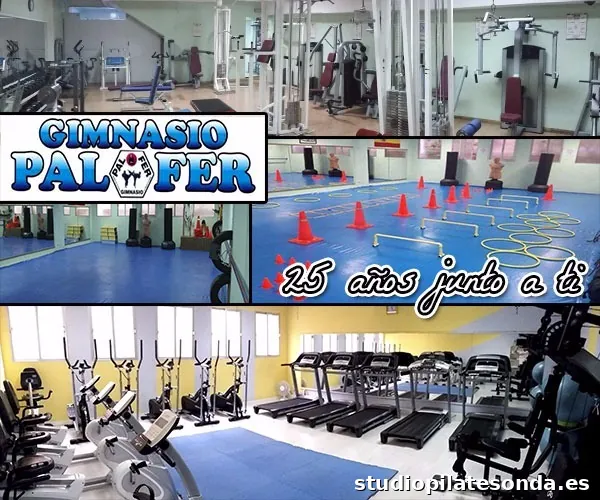 Gimnasio Palfer