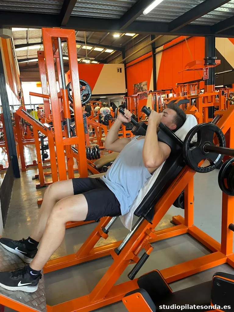 Gym Olimpo Line Fitness