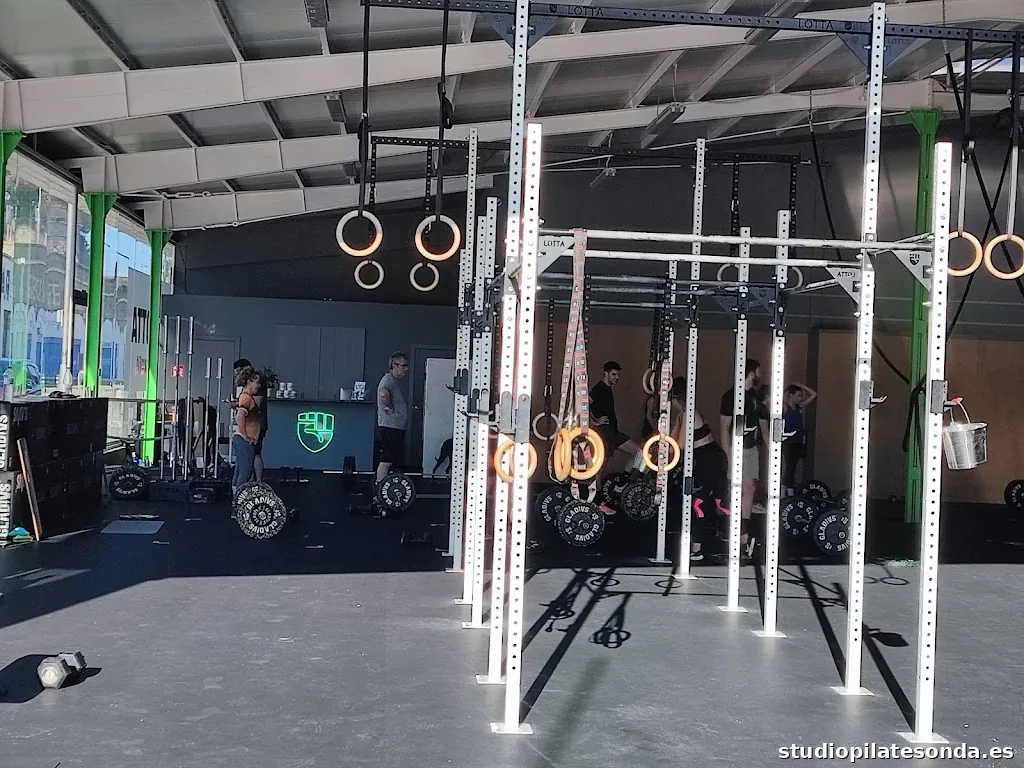 LOTTA Training Arenys Box