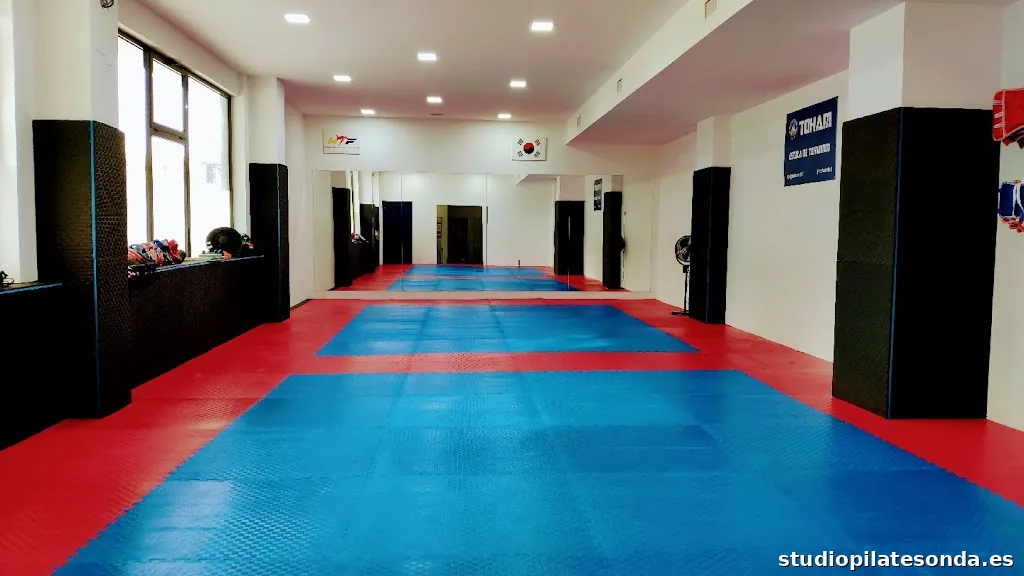 Escola de Taekwondo TOHAM