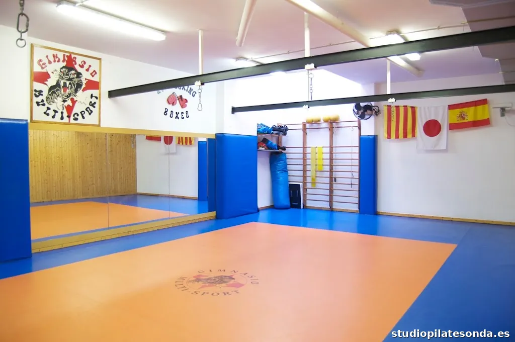 Club Gimnasio Multi-Sport