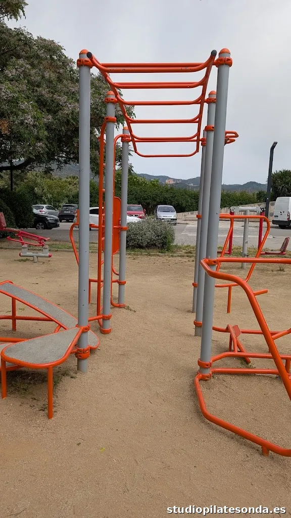 Plaque Workout y Gimnasia