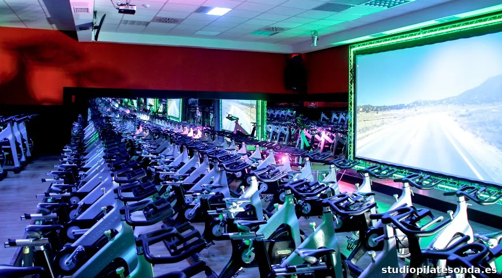 Paidesport Center Bassa