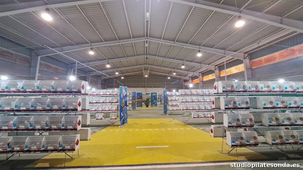 Pabellón Antonio Gavira