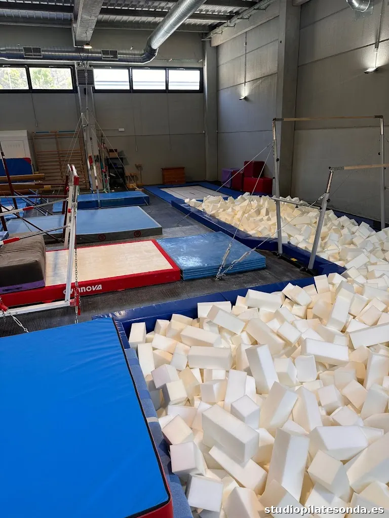 Gimnàstica Artística