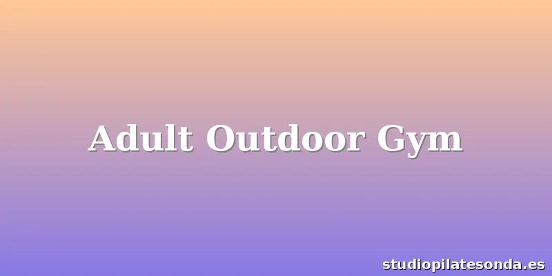 Adult Outdoor Gym