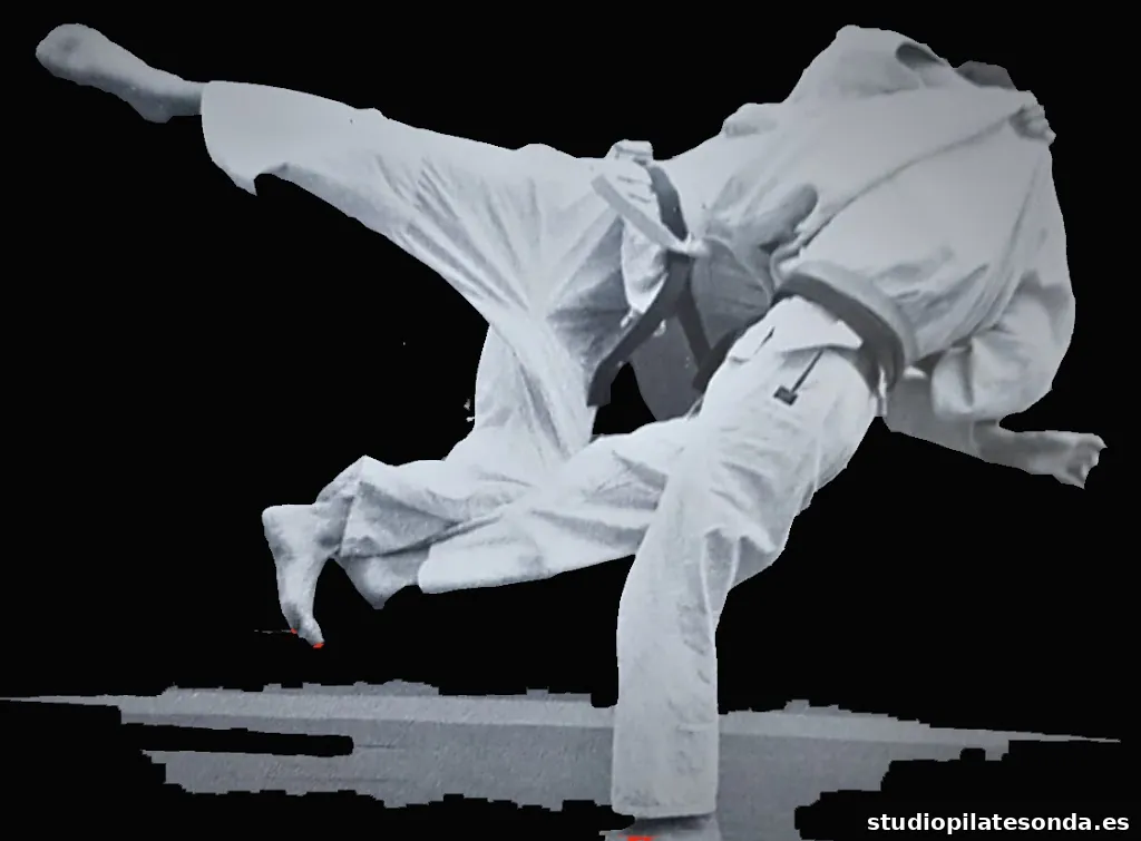 Gimnasio Judo Tao