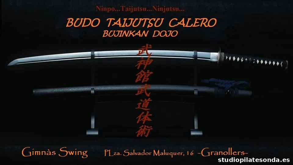 Ninjutsu Granollers(Budo Taijutsu Calero)