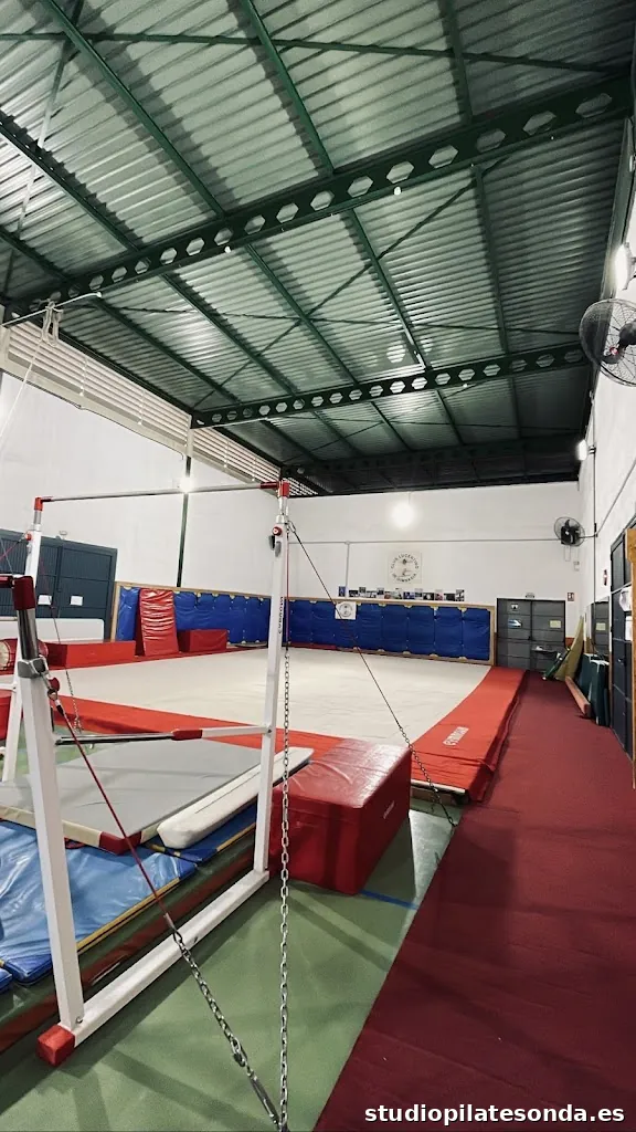 CLUB LUCENTINO DE GIMNASIA