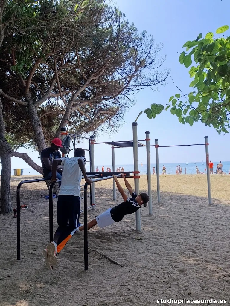 Area de calistenia MEIN.ES